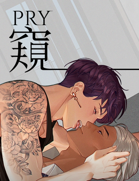 窥Pry
