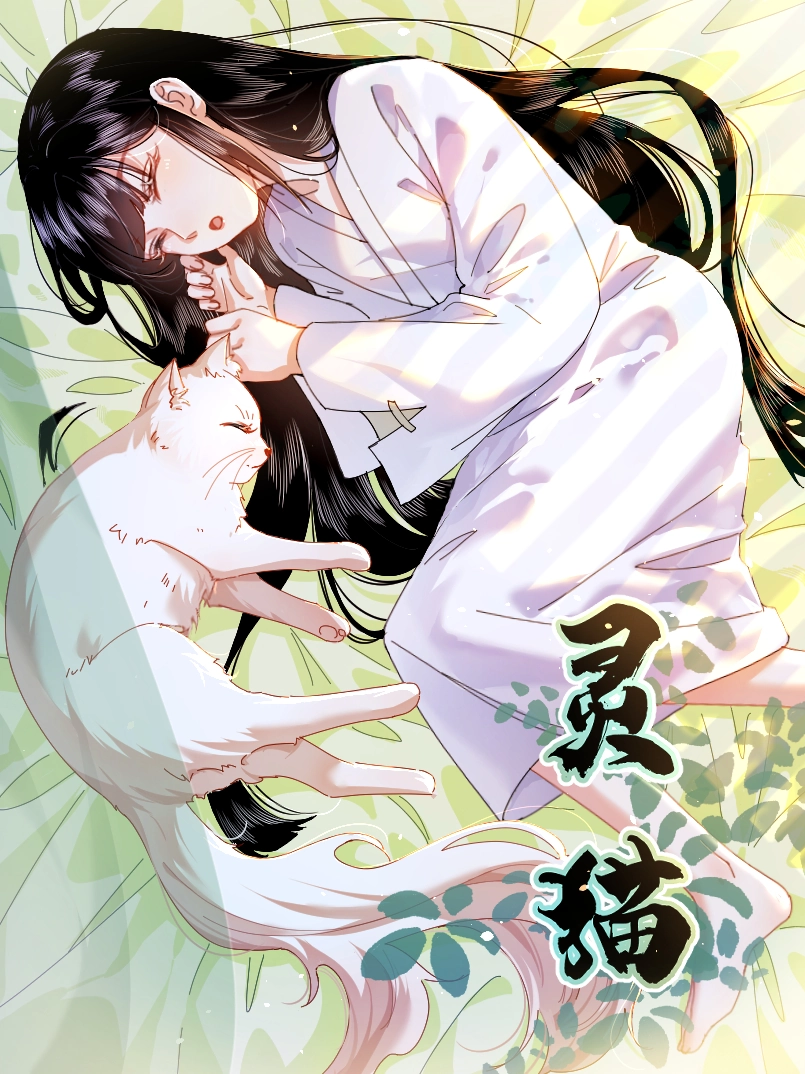 灵猫