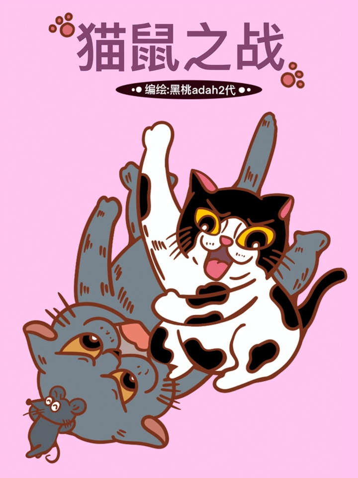 猫鼠之战